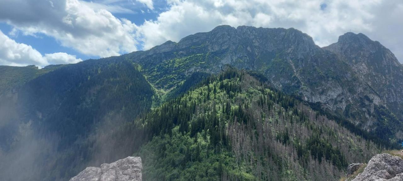 Willa Hajnowka Zakopane Buitenkant foto