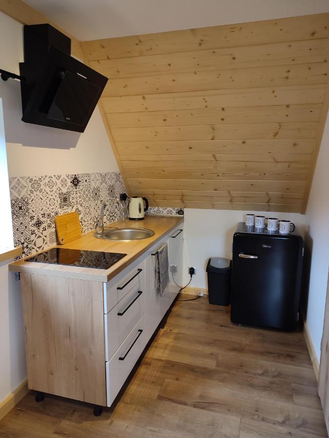Willa Hajnowka Zakopane Buitenkant foto