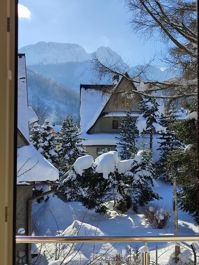 Willa Hajnowka Zakopane Buitenkant foto